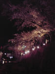100419_2140_01.jpg
