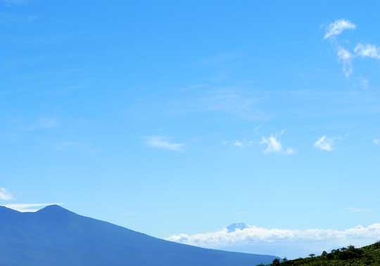 blog120917-shinshyu03.jpg