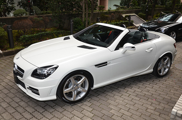 blog130221slk02.jpg