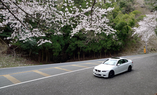 biog_130415_sakura05.jpg