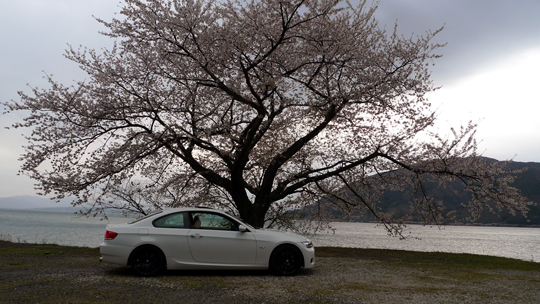 biog_130415_sakura06.jpg