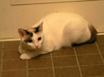 2008.06.26.jpg