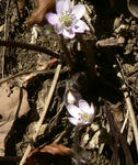 2009.03.01-1.jpg