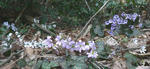 2009.03.21.jpg