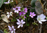 2009.03.29-1.jpg