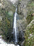 2009.03.29-2.jpg