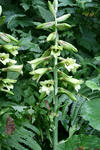 2009.07.12-3.jpg