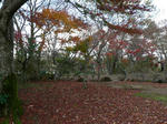2009.11.15-1.jpg
