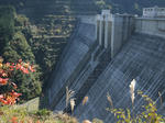 dam03_01.jpg