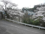 DAM-SAGAMI03.jpg