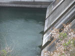 DAM-SIROYAMA02.jpg