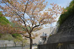 dam10_03.jpg