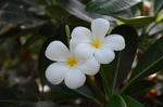 b8c013b7.jpg