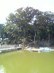 b46a4cc6.jpg