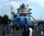7b7d4533.jpg