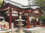 45c03127.jpg