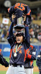 wbc2.jpg