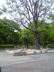 DVC00250_M.jpg