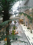 DVC10354_M.jpg