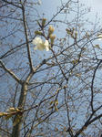 100319_111613.jpg