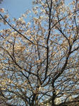 100328_155105.jpg