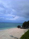 72778b07.jpg
