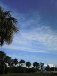 DVC00166.jpg
