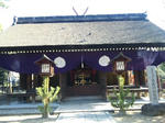 DVC00154.jpg