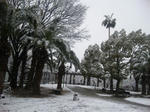 DVC00240.jpg