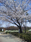 DVC00429.jpg
