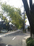 DVC00464.jpg