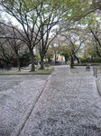 DVC00467.jpg