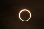 kinkan20120521007.jpg
