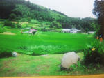 DVC00668.jpg