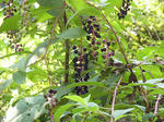 bd70af93.jpg