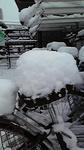 2013011415030000.jpg