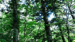 2013071816440000.jpg