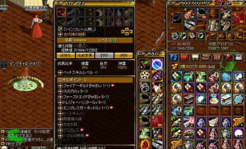 7293317a.jpg