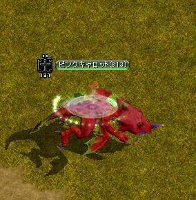 f11e0702.jpg