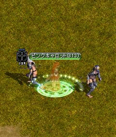 82c12d0d.jpg