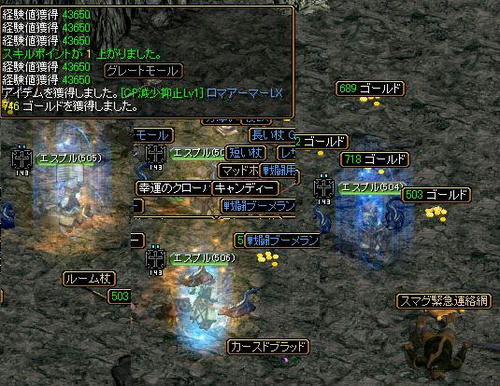 1cba2981.jpg