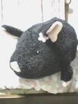 黒楼ちゃん