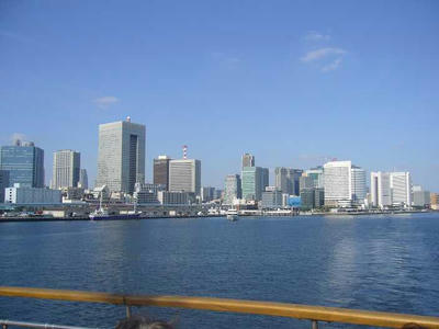 P1050330.jpg