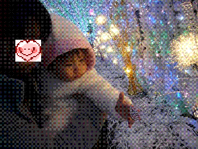 P1050780.jpg