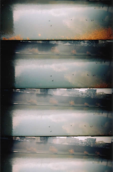 カモの休日SuperSampler