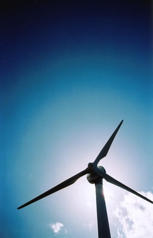 太陽と風の集う場所とシンボル。LOMO LC-A+