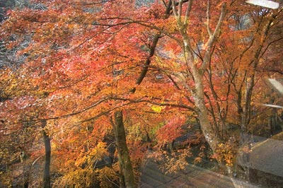高尾山