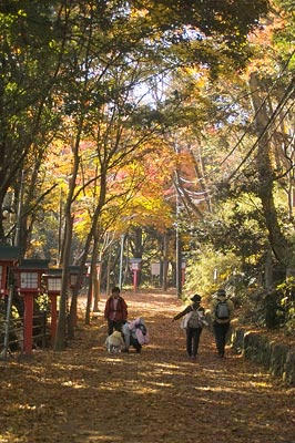 高尾山