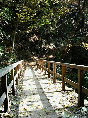 高尾山