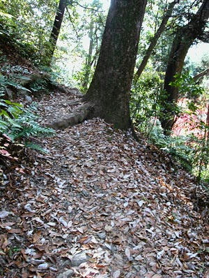 高尾山